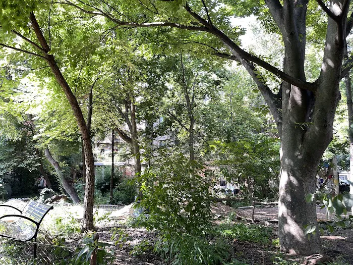 El Jardin del Paraiso Picture 7