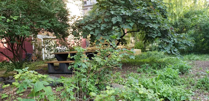 El Jardin del Paraiso Picture 2
