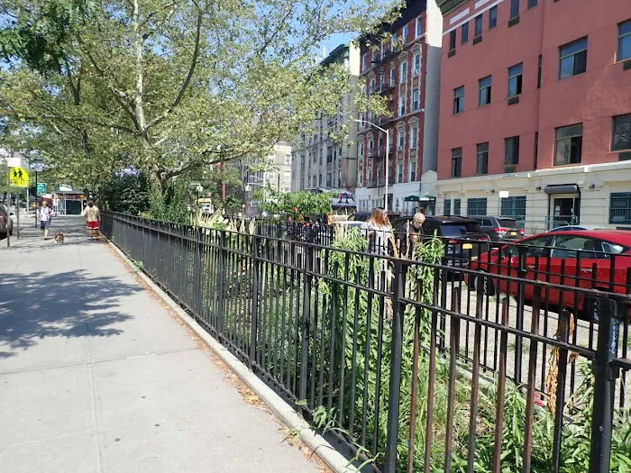 Gustave Hartman Square Picture 9