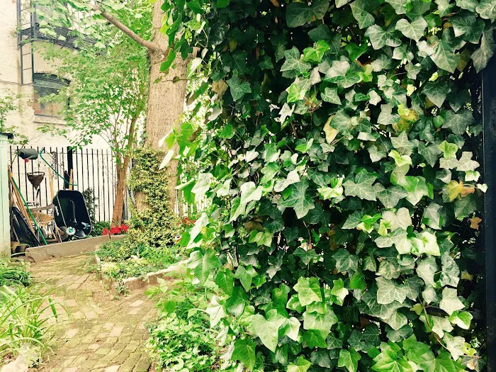 Secret Garden Picture 5