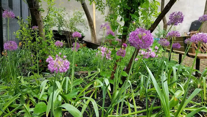 Firemen's Memorial Garden Picture 8