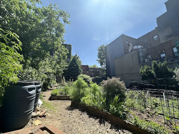 Brooklyn Bears/Carlton Avenue Garden Picture 10