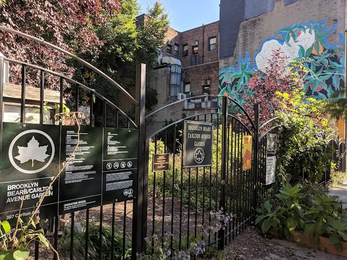 Brooklyn Bears/Carlton Avenue Garden Picture 1