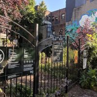 Brooklyn Bears/Carlton Avenue Garden ico