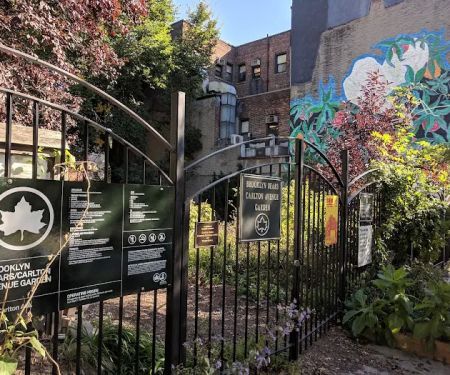 Brooklyn Bears/Carlton Avenue Garden