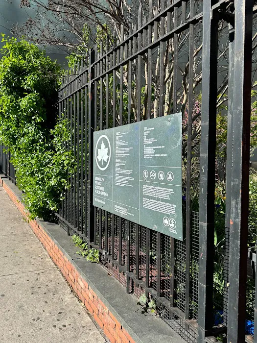 Brooklyn Bears/Carlton Avenue Garden Picture 5