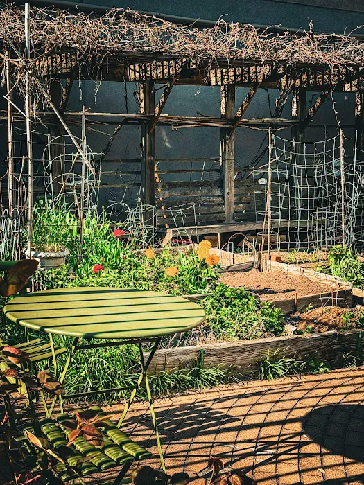 Brooklyn Bears/Carlton Avenue Garden Picture 8