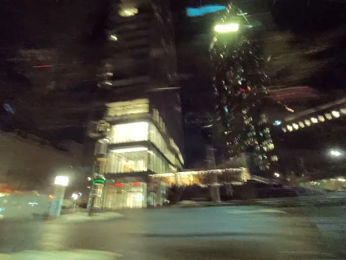 The Plaza at 300 Ashland Picture 1