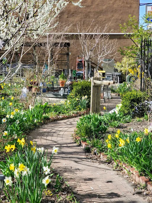 Brooklyn Bears/Rockwell Place Garden Picture 7