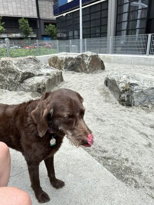 Abolitionist Place Dog Park Picture 2