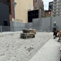 Abolitionist Place Dog Park ico