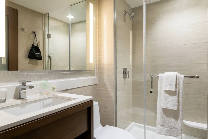Holiday Inn Brooklyn Downtown by IHG Picture 3