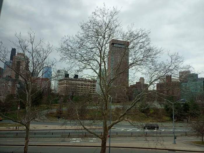 Maritcha R. Lyons Park Picture 4