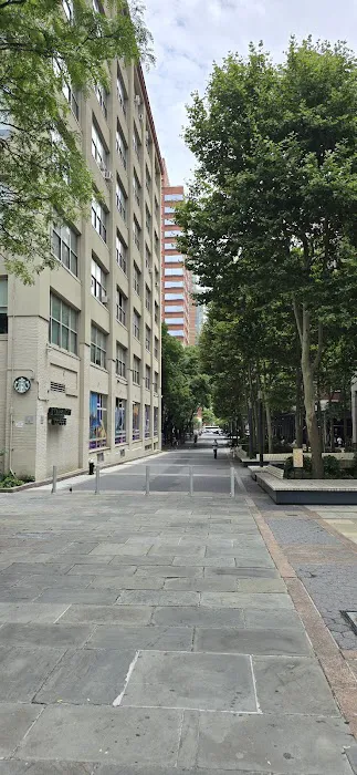 John Street Park Picture 9