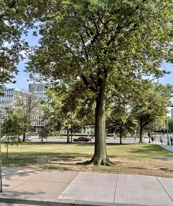 Walt Whitman Park Picture 5
