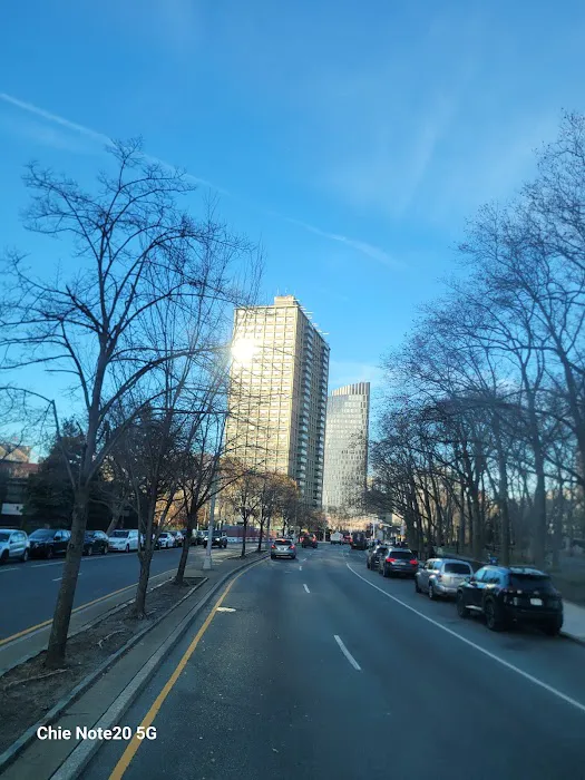 Cadman Plaza Park Picture 9