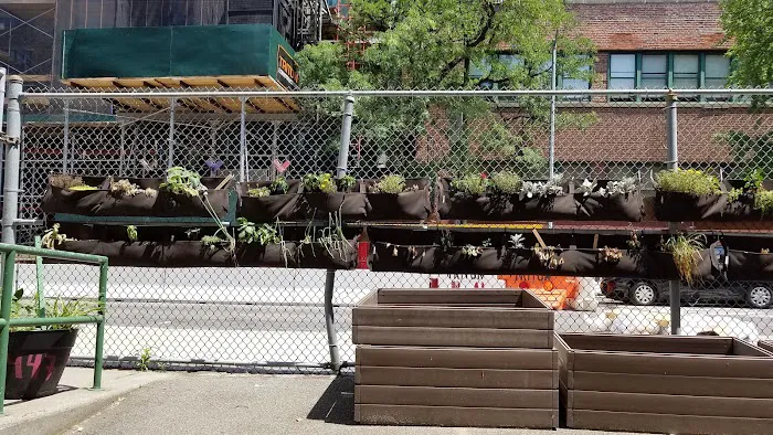 Pacific Street Bears Community Garden Picture 6