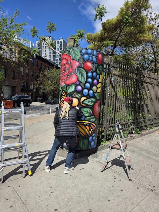 Pacific Street Bears Community Garden Picture 5