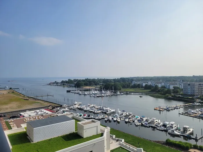Harbor Point Boardwalk Picture 1