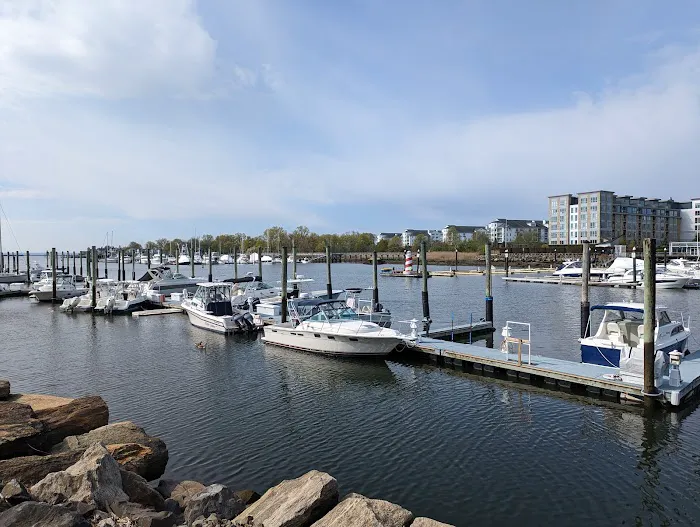 Harbor Point Boardwalk Picture 5