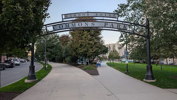 Commons Park Picture 2