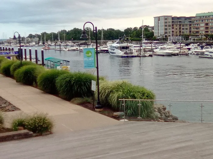 Harbor Point Commons Park Picture 4