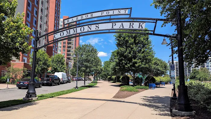 Harbor Point Commons Park Picture 1