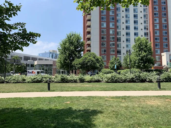 Harbor Point Commons Park Picture 6