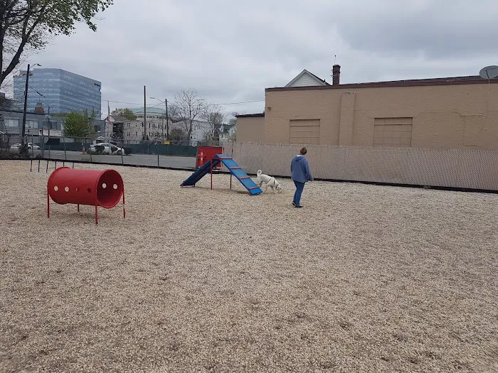 Harbor Point Dog Park Picture 3