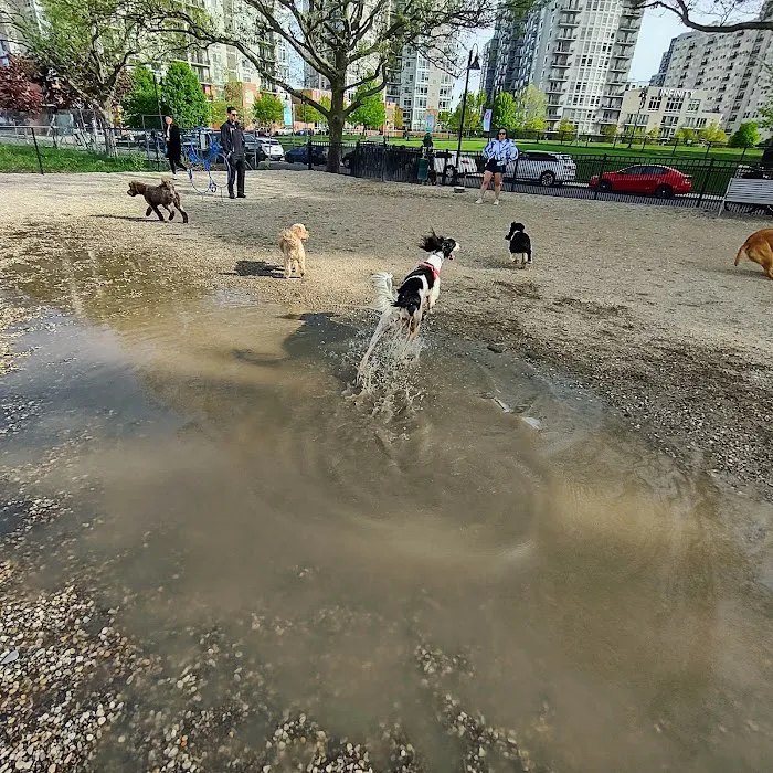 Harbor Point Dog Park Picture 7