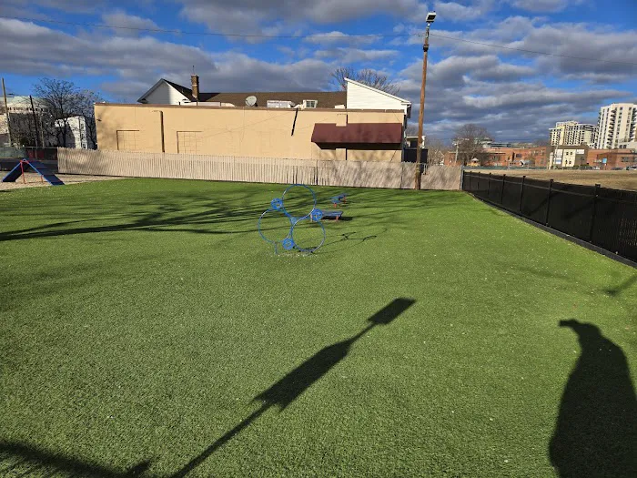 Harbor Point Dog Park Picture 6