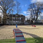 Harbor Point Dog Park