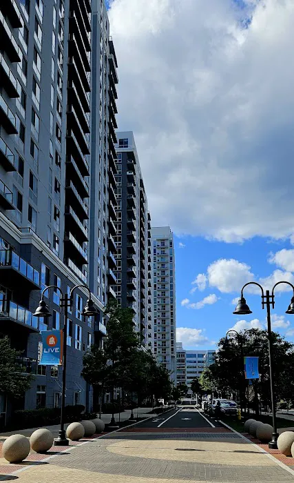 Triangle Park Picture 8