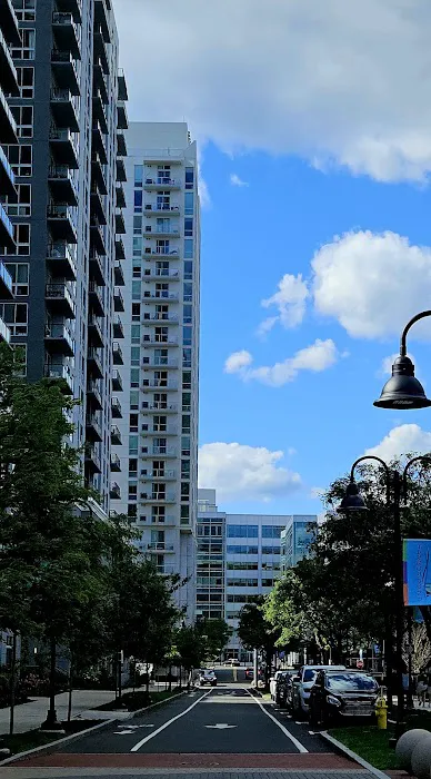 Triangle Park Picture 6