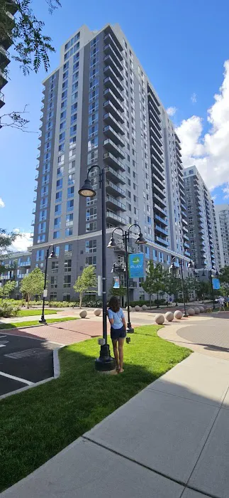 Triangle Park Picture 7