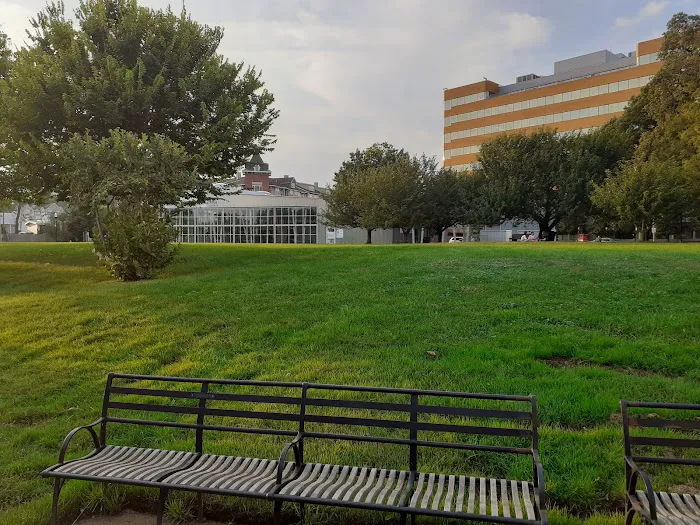 Mill River Park Picture 10