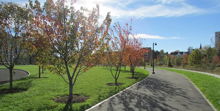 Mill River Park Picture 3