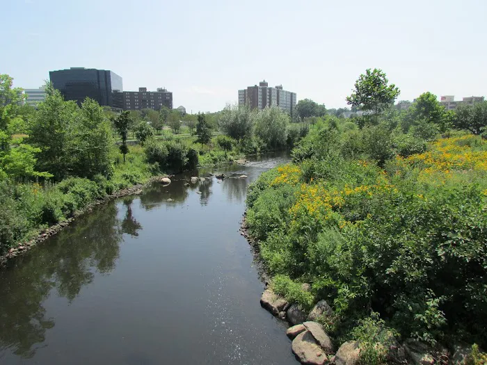 Mill River Park Picture 8
