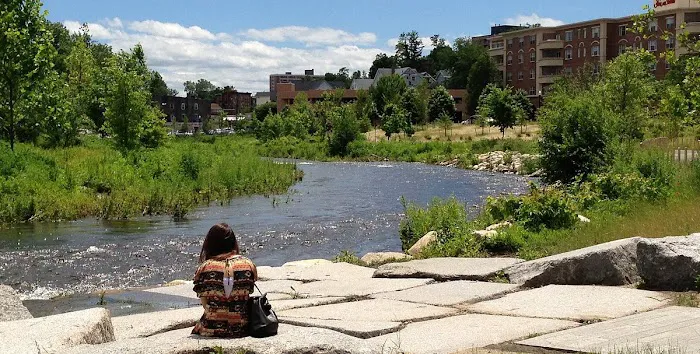 Mill River Bark Park Picture 1
