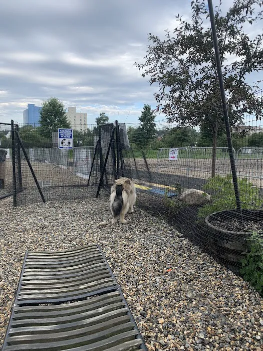 Mill River Bark Park Picture 10