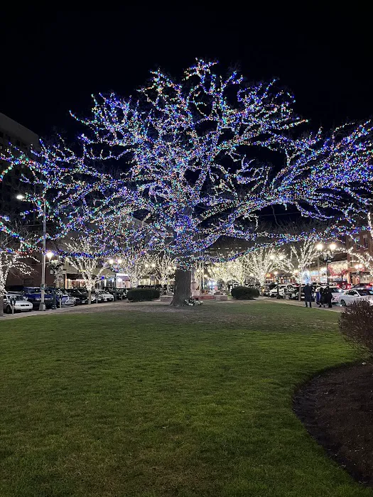 Columbus Park Picture 8