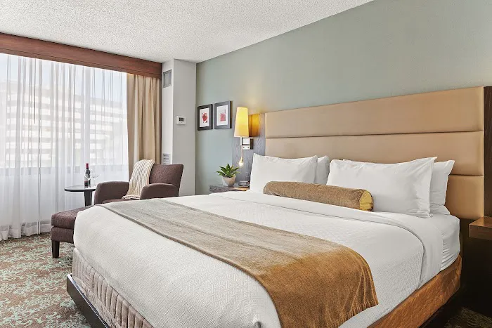 The Armon Stamford Hotel Picture 8