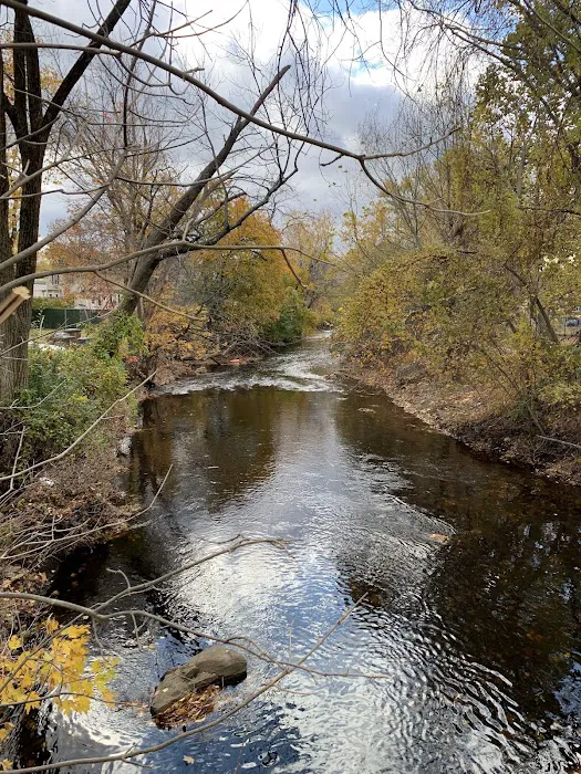 Scalzi Park Picture 4