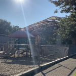 Lodi Park