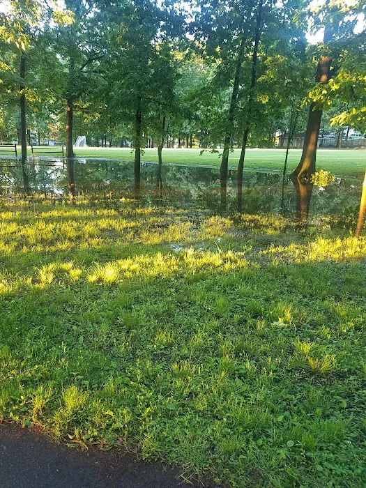 Woodland Park Picture 1