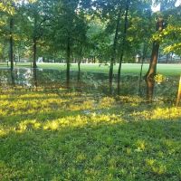 Woodland Park ico