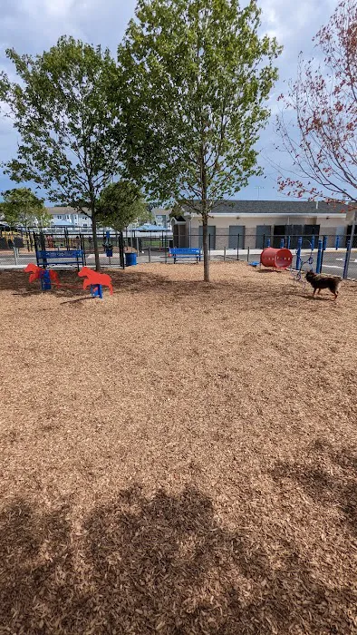 Wood-Ridge Dog Park Picture 6