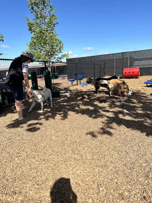 Wood-Ridge Dog Park Picture 8