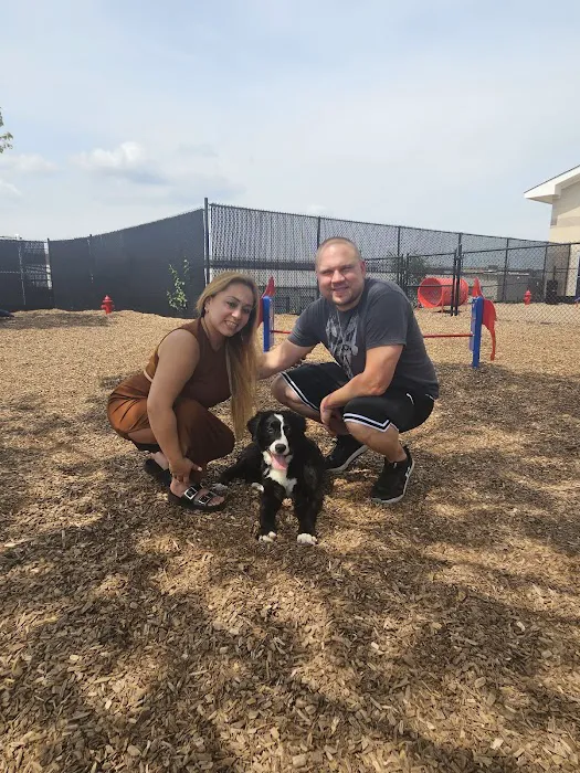 Wood-Ridge Dog Park Picture 10