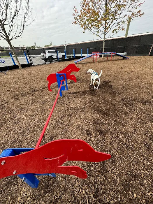 Wood-Ridge Dog Park Picture 7